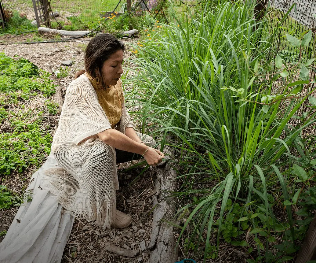Woman tending to garden plants outdoors.